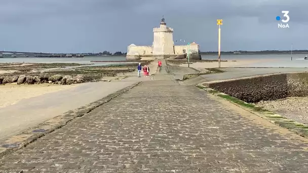 Le Fort Louvois à Bourcefranc-le-Chapus (17).