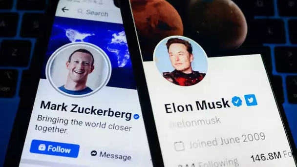 L'éventuel combat entre Elon Musk et Mark Zuckerberg sera retransmis sur X