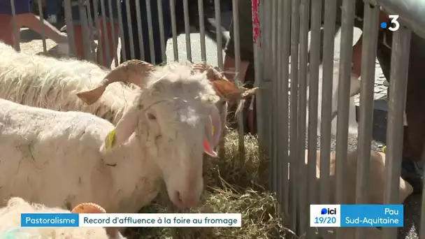 La foire aux fromages de Laruns a attiré plus de 20 000 personnes