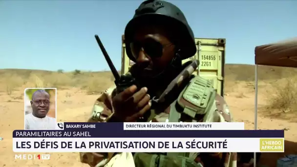 Paramilitaires au Sahel : les défis de la privatisation de la sécurité. Lecture Bakary Sambe