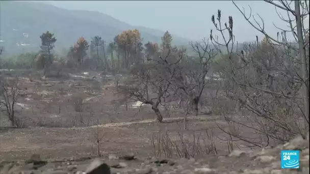 Violent incendie dans le Var : deux personnes décédées et 6 300 hectares brûlés • FRANCE 24