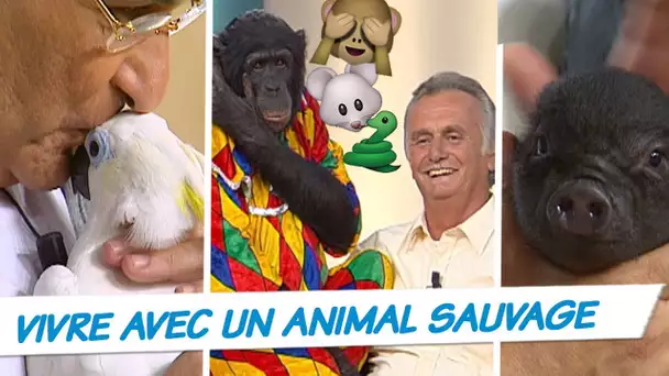 C&#039;est mon choix // Je vis avec un animal sauvage