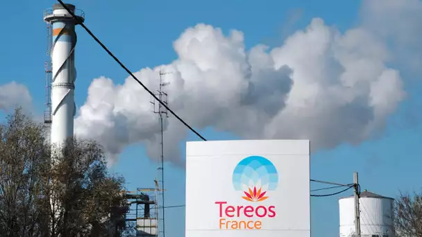 Fermeture d'une usine du sucrier Tereos : à Escaudœuvres, «ça va laisser des familles sans travail»