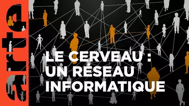 La théorie des graphes ou comment ne pas prendre la grosse tête | Voyages au pays des maths | ARTE