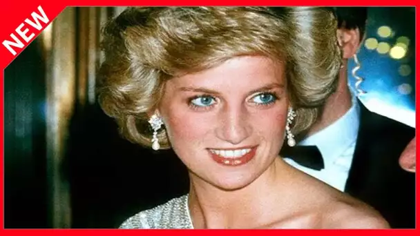 ✅  Diana manipulée par son propre frère ? Ces terribles accusations