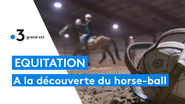 A la découverte du horse-ball