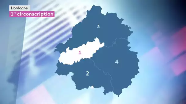Législatives 2024 : tour d'horizon des candidats de la 1ere circonscription de la Dordogne