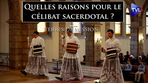 Quelles raisons pour le célibat sacerdotal ? - Terres de Mission n°391 - TVL