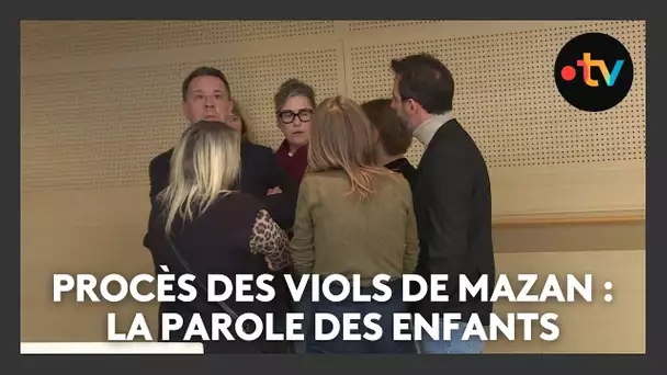 Procès des viols de Mazan : le témoignage des fils de Dominique Pelicot