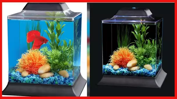 Koller Products 1.5-Gallon AquaScene Aquarium with LED Lighting