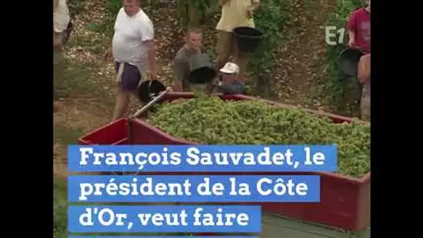 CONTRE LES TAXES AMÉRICAINES, LA CÔTE D'OR OFFRE DU BOURGOGNE À TRUMP