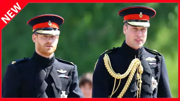 ✅  William et Harry n'ont pas encore réglé leurs différends mais… ils sont prêts à les mettre de côt