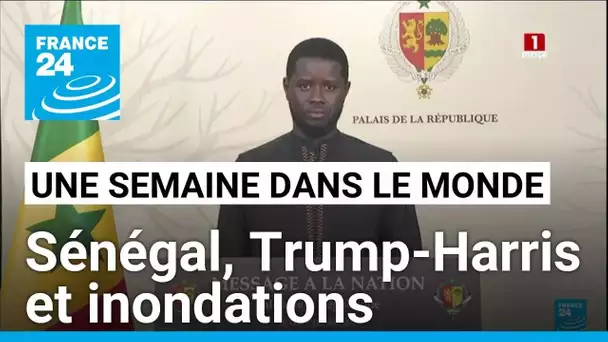 Dissolution de l'Assemblée nationale sénégalaise, Trump/Harris et inondations en Afrique de l'Ouest