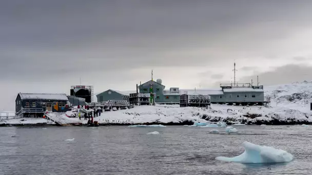 Ces 12 scientifiques ukrainiens sont coincés en Antarctique