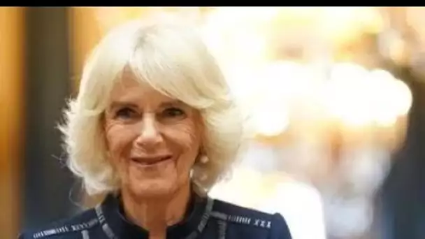 Le «beau discours et hommage» de Camilla salué au Queen's Commonwealth Essay Competition