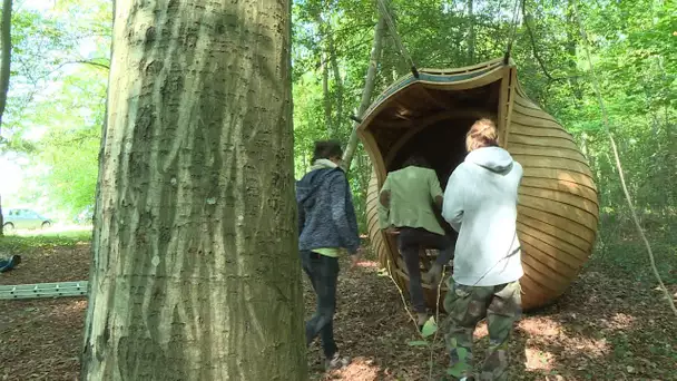 Cor Silvæ ou le cœur de la forêt : une œuvre en libre accès en forêt de Compiègne