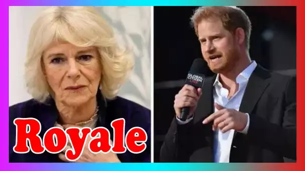 Harry a insisté 'ne vous sentez pas désolé pour nous' sur Camilla: 'Pas une méchante belle-mère!'