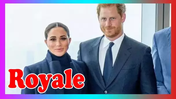 Harry « poubelle » royale « règles PDA » en montrant de l'affection pour Meghan Markle