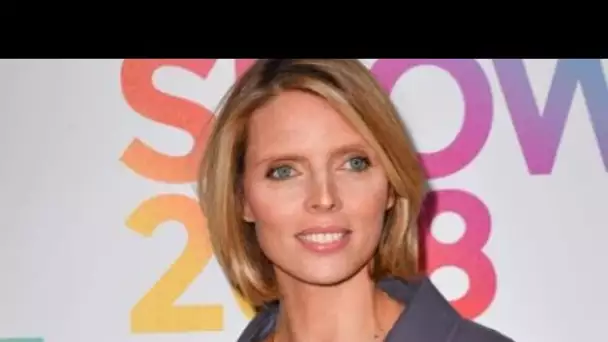 PHOTO Sylvie Tellier se montre en forme olympique, ses fans sont bluffés !