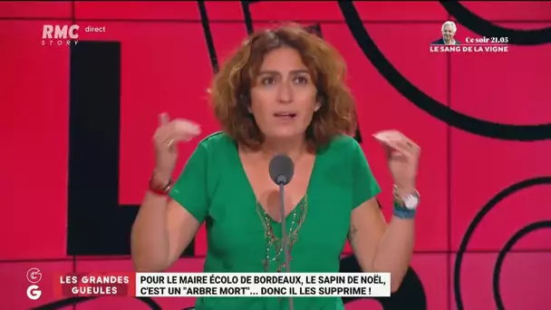 "Fermez vos gueules et travaillez": Isabelle Saporta s'emporte contre les écologistes "caricaturaux"