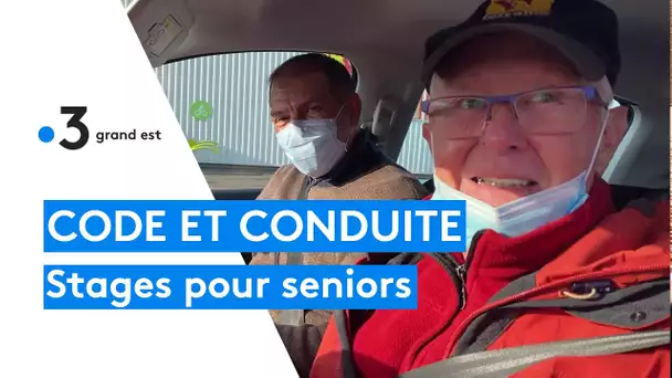 Code de la route et leçons de conduite : remise à niveau pour les seniors