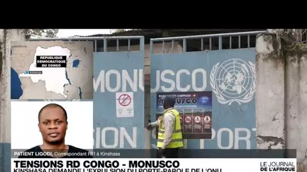 La RDC demande l'expulsion du porte-parole de la mission de l'ONU • FRANCE 24