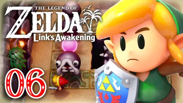 🔴 Zelda Link's Awakening : On continue aventure live !