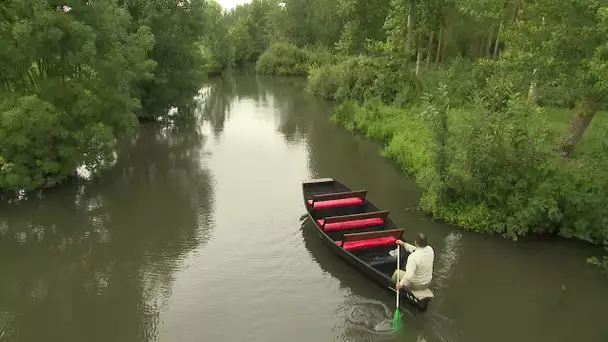 Le Marais Poitevin et le réchauffement climatique (1/2)