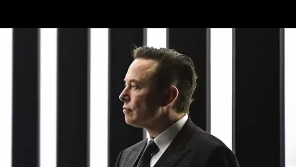 Elon Musk rachète Twitter pour plus de 40 milliards d'euros