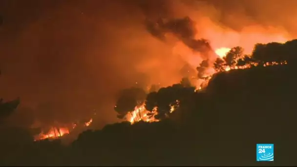 Feux dans le sud-est de la France : l'incendie le plus important de l'année