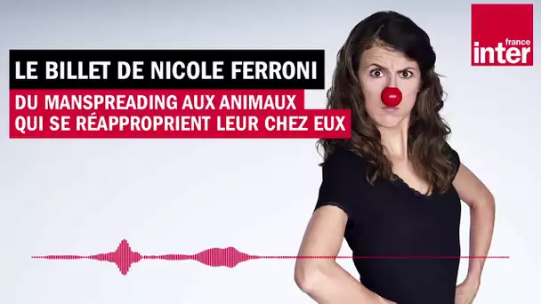 Du "manspreading" au retour des animaux - Le billet de Nicole Ferroni