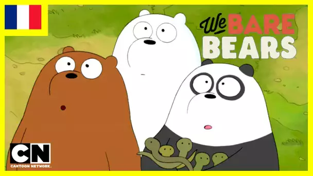 We Bare Bears en Français 🇫🇷 | Les bébés serpents