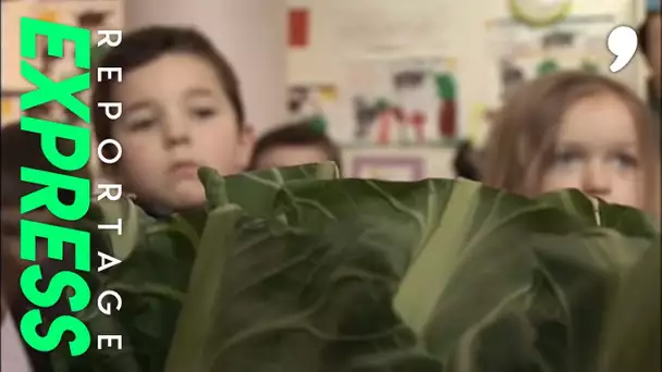 Fruits et légumes : l&#039;été toute l&#039;année