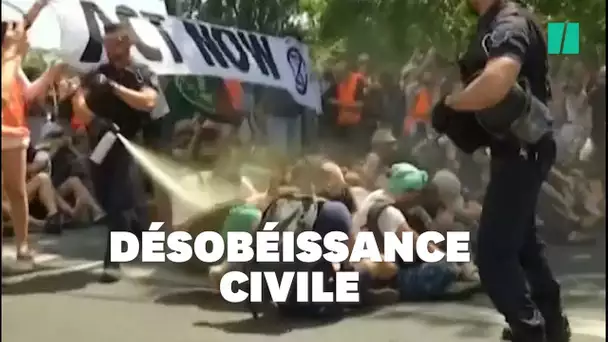 Des militants pour le climat délogés par les lacrymogènes sur un pont de Paris