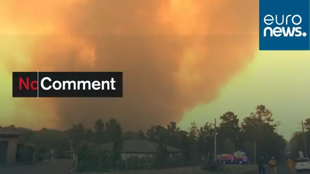 Incendies en Australie : l’équivalent de la Belgique parti en fumée