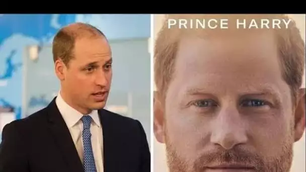 Harry dit que William "a suggéré que le Brexit était des taureaux ** t" alors qu'une règle royale