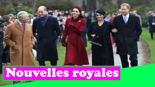 Harry " blâme Charles et William " de ne pas " posséder " leur part dans le naissain, selon l'auteur