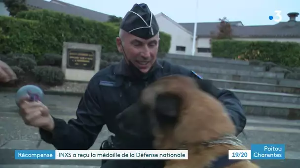 Charente : Moi, INXS, berger malinois, médaillé militaire