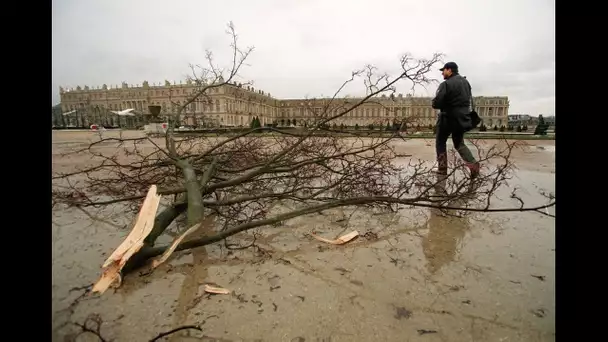 Tempête de 1999 : "des tourbillons ont ravagé les jardins du Château de Versailles"