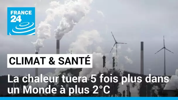 Climat et Santé humaine sont intimement et dangereusement liés • FRANCE 24