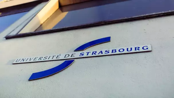 Trois jeunes membres de l'union des étudiants juifs agressés à Strasbourg