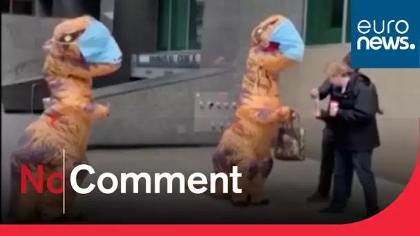 A Toronto, des dinosaures distribuent des masques