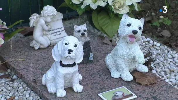 Forest-sur-Marque : découvrez le cimetière des animaux