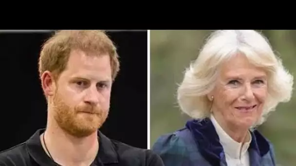 Camilla en tant que reine consort serait "trop ​​​​à supporter" pour le prince Harry - expert