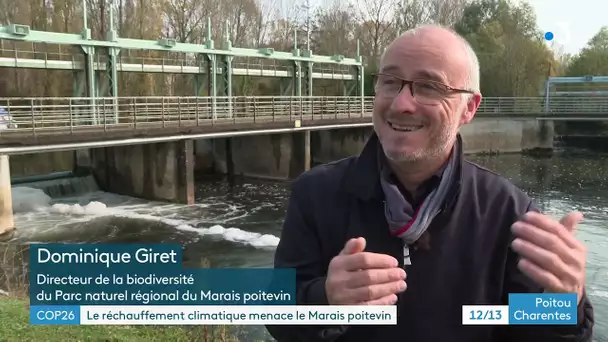 COP26 : le réchauffement climatique menace le Marais Poitevin