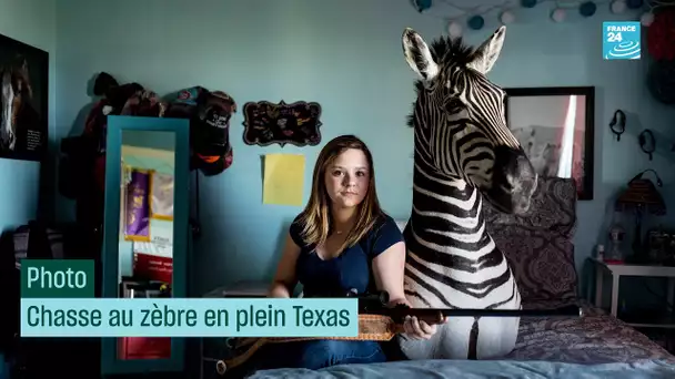 Chasse au zèbre en plein Texas • FRANCE 24