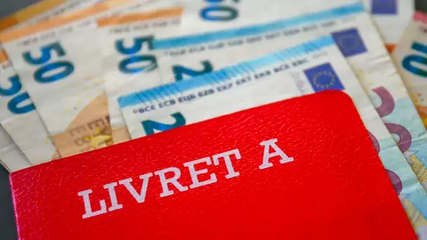 Livret A, LEP, placements obligataires... Comment placer son argent cette année ?