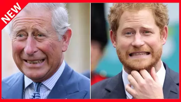 ✅  Harry sosie du prince Charles : un cliché refait surface