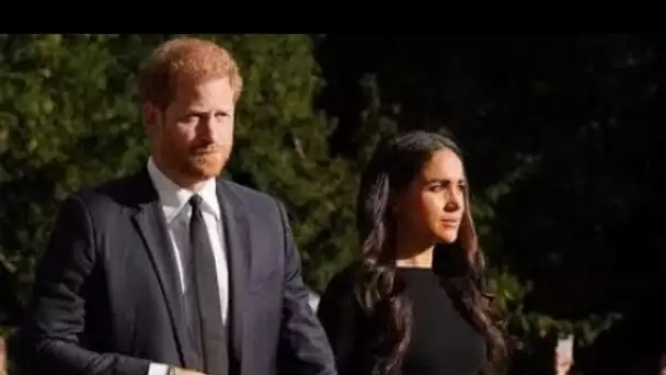 Meghan et Harry savent qu'ils seront « massacrés » pour les docuseries à venir, selon des experts