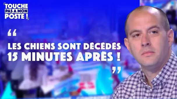 Retour sur le scandale des chiens empoisonnés lors d'un concours canin !